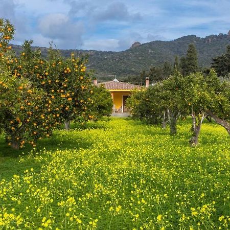 A Charming Country Cottage + Bikes And Kayaks بوسا المظهر الخارجي الصورة
