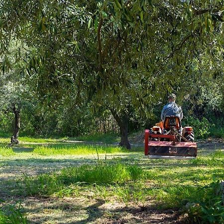 A Charming Country Cottage + Bikes And Kayaks بوسا المظهر الخارجي الصورة