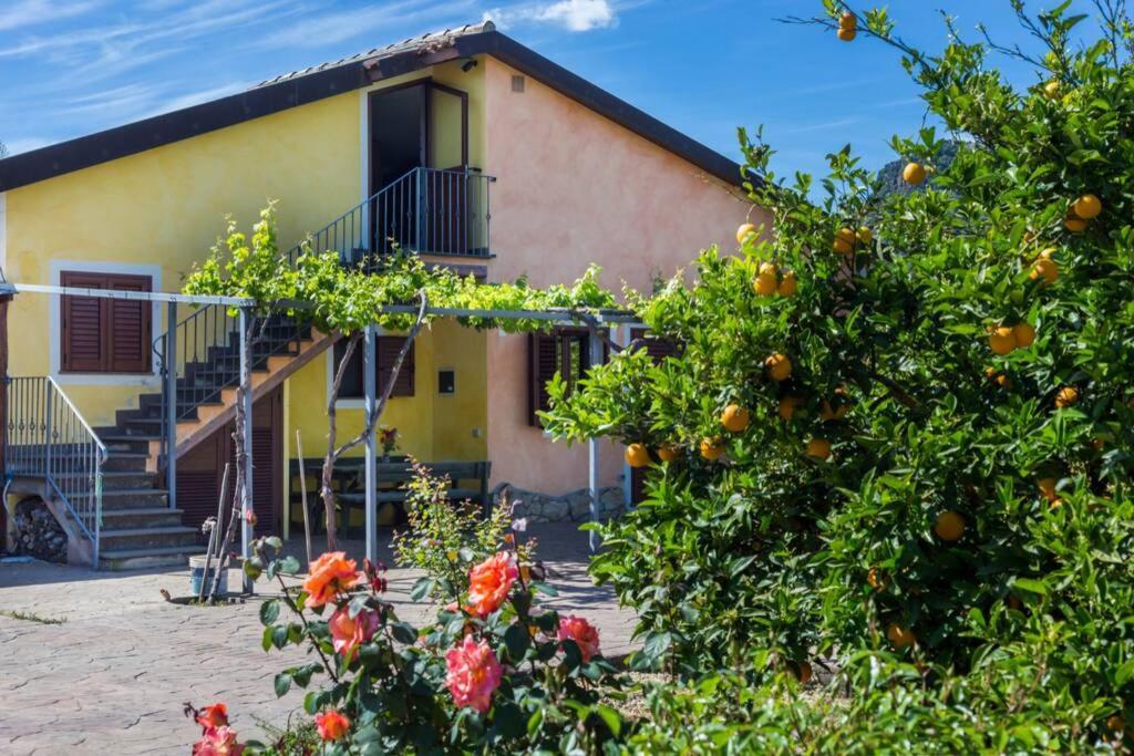 A Charming Country Cottage + Bikes And Kayaks بوسا المظهر الخارجي الصورة