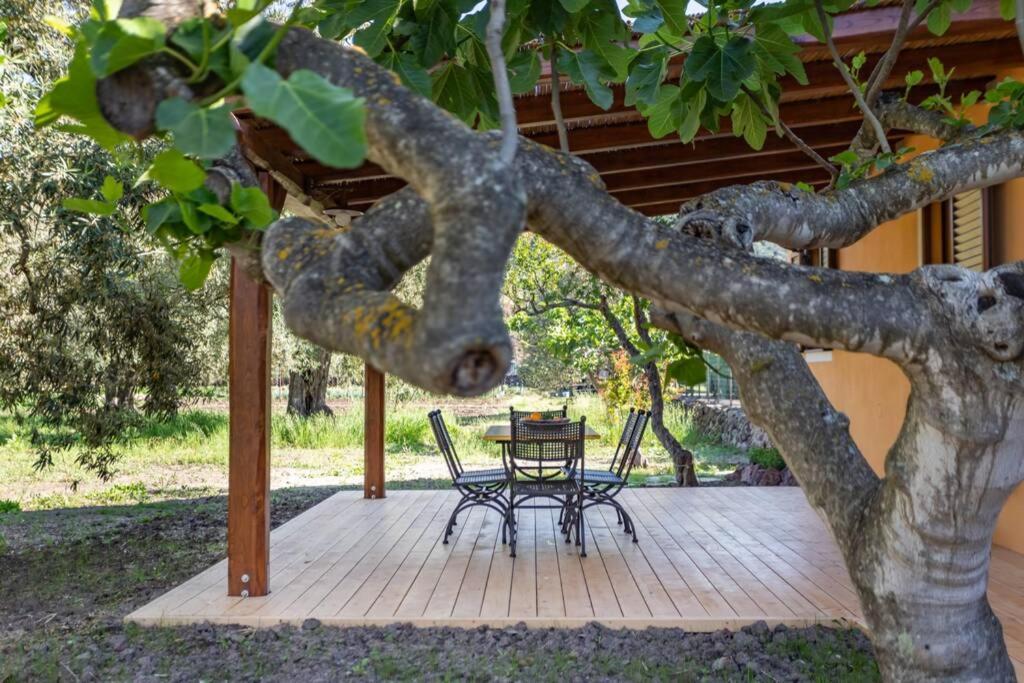 A Charming Country Cottage + Bikes And Kayaks بوسا المظهر الخارجي الصورة