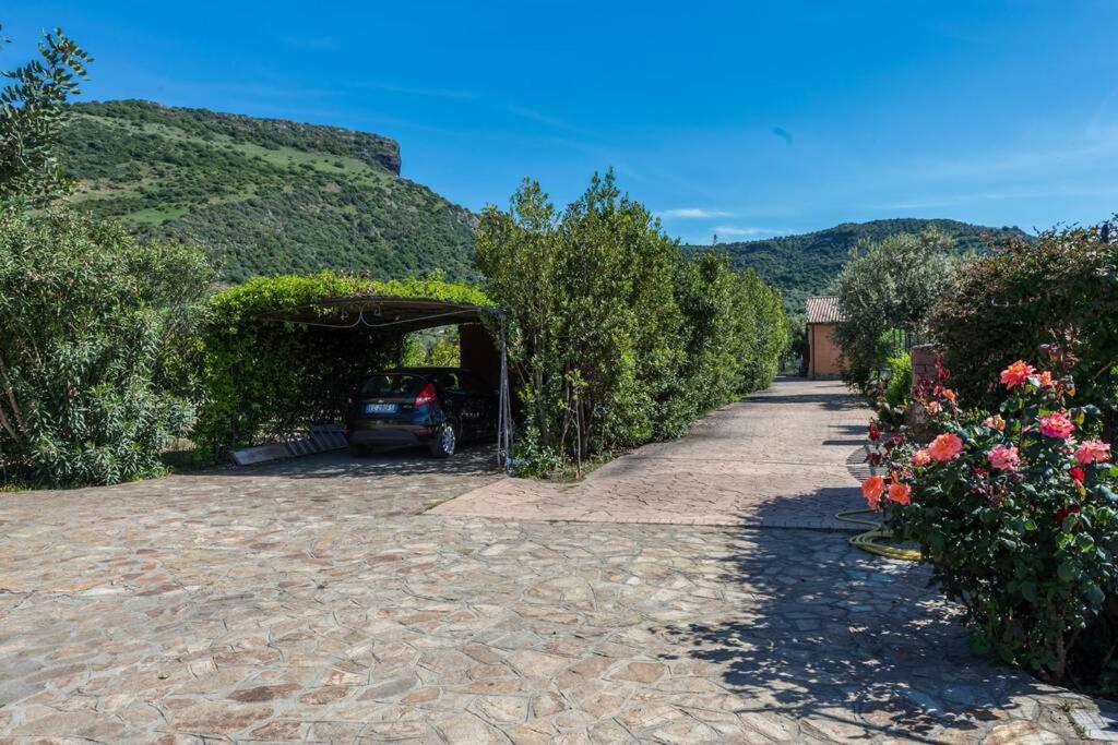 A Charming Country Cottage + Bikes And Kayaks بوسا المظهر الخارجي الصورة